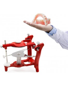 Articulator Dental Lab Equipment Full Mouth Metal Denture Teeth